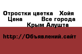 Отростки цветка  “Хойя“ › Цена ­ 300 - Все города  »    . Крым,Алушта